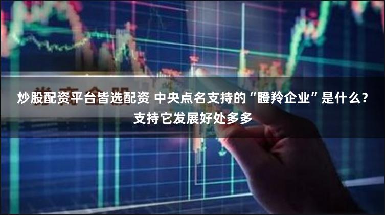 炒股配资平台皆选配资 中央点名支持的“瞪羚企业”是什么？支持它发展好处多多