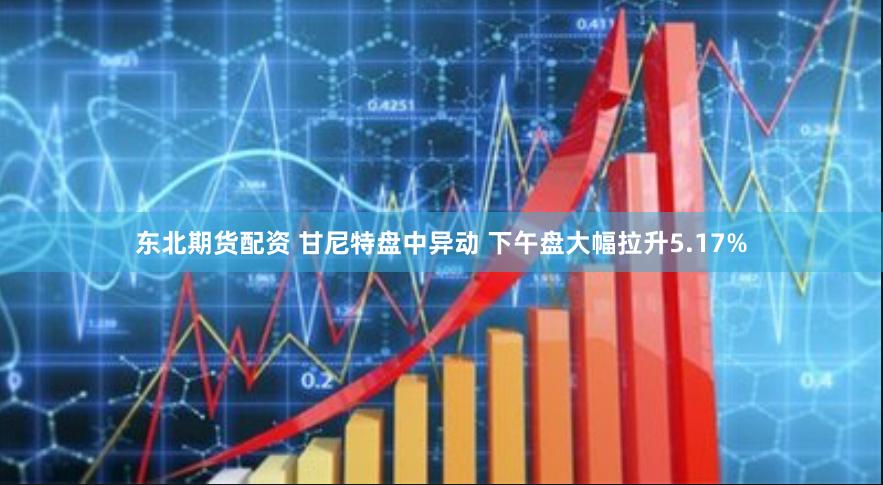 东北期货配资 甘尼特盘中异动 下午盘大幅拉升5.17%