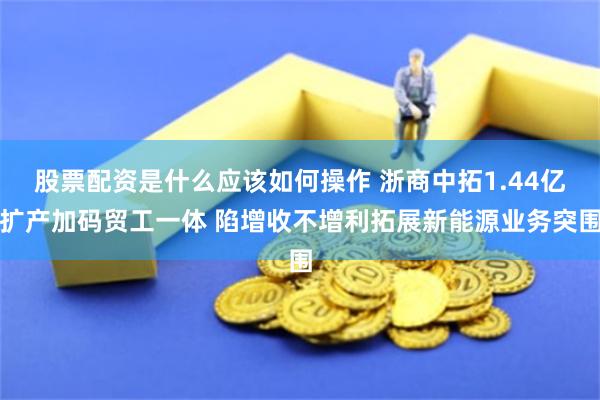 股票配资是什么应该如何操作 浙商中拓1.44亿扩产加码贸工一体 陷增收不增利拓展新能源业务突围