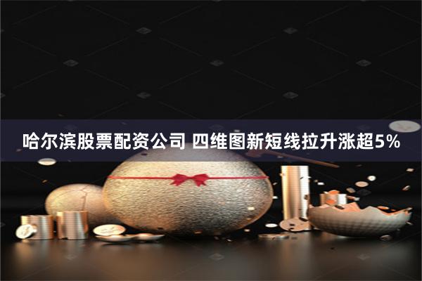 哈尔滨股票配资公司 四维图新短线拉升涨超5%